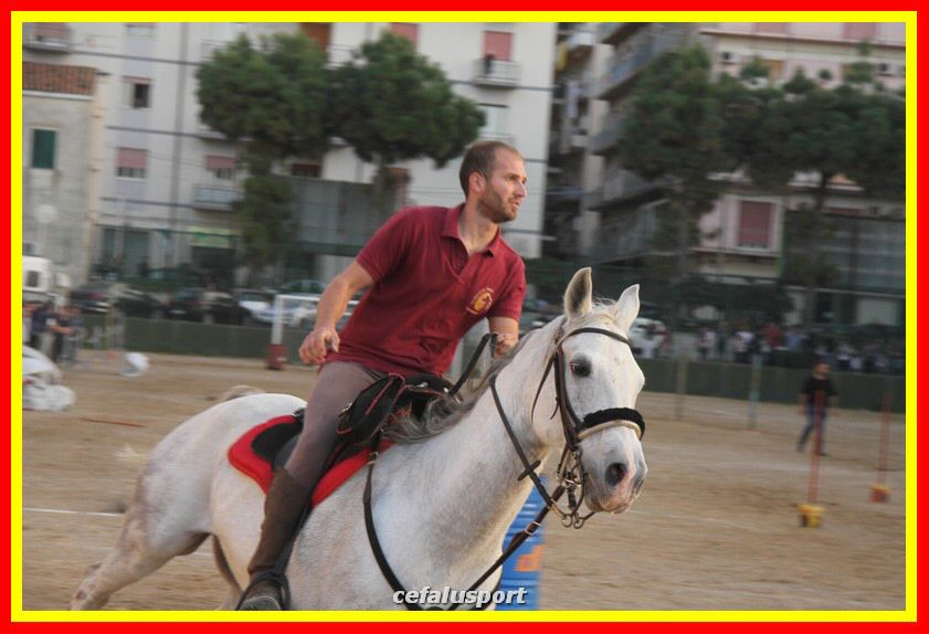 161106 equestre 029_tn.jpg